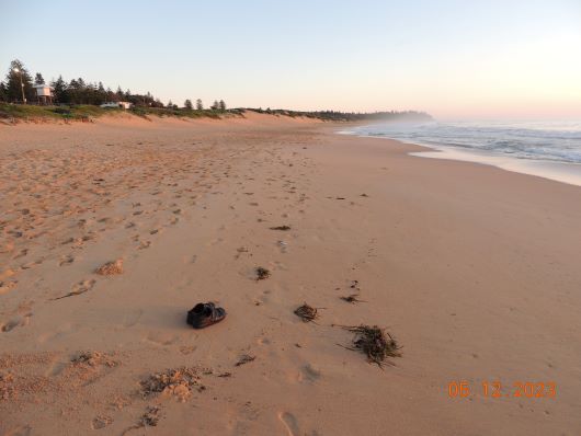 Shelly Beach Walk